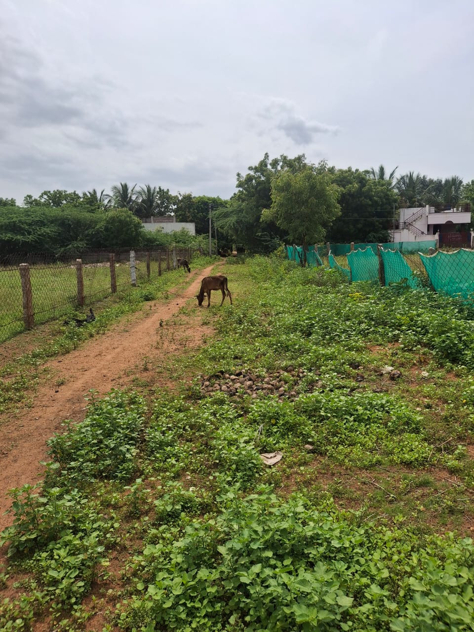 Residential plot in Tiruchirappalli — photo 3
