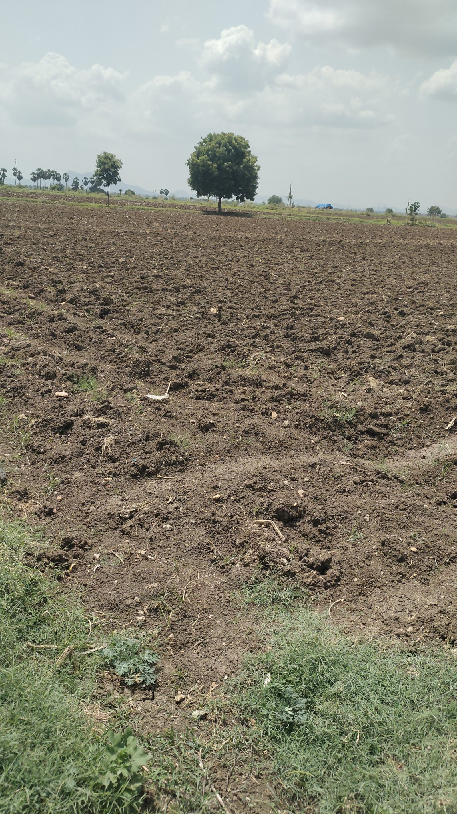 Farm land in Sattenapalle — hero photo