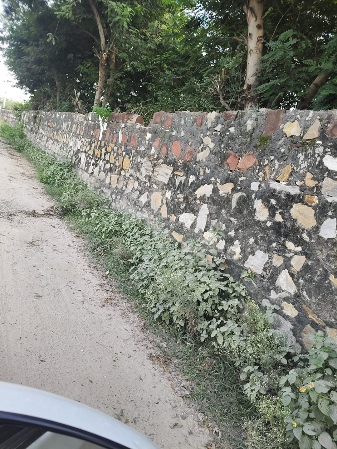 Farm land in Jaipur — hero photo