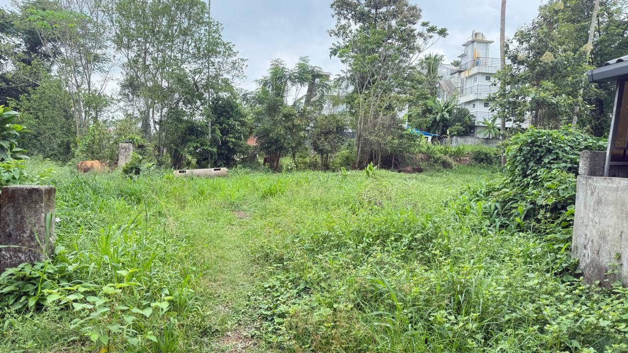 Residential plot in Aluva, Kochi — hero photo