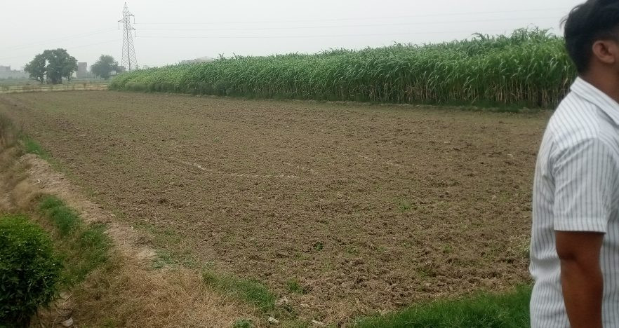 Farm land for sale in Bulandshahr