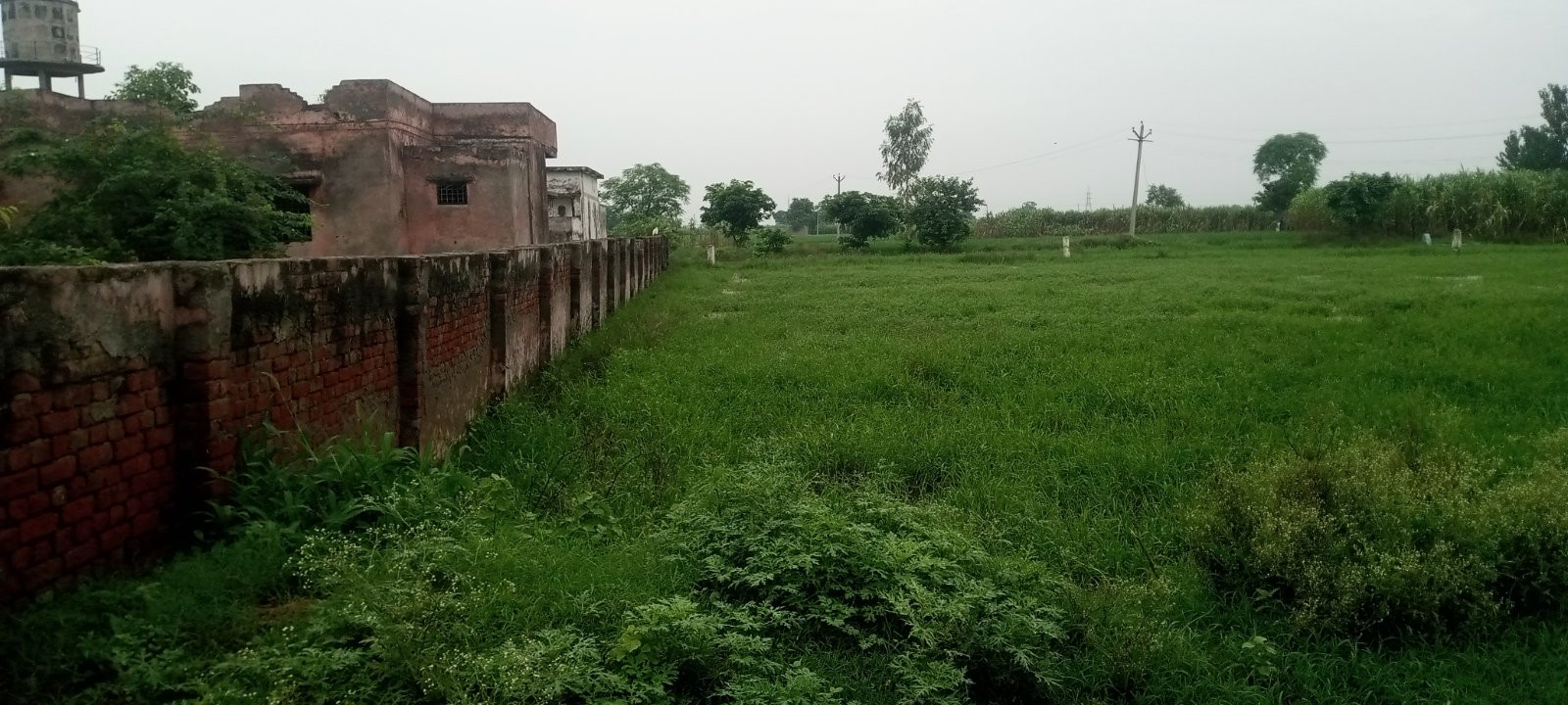 Farm land in Sarai Chabila — hero photo