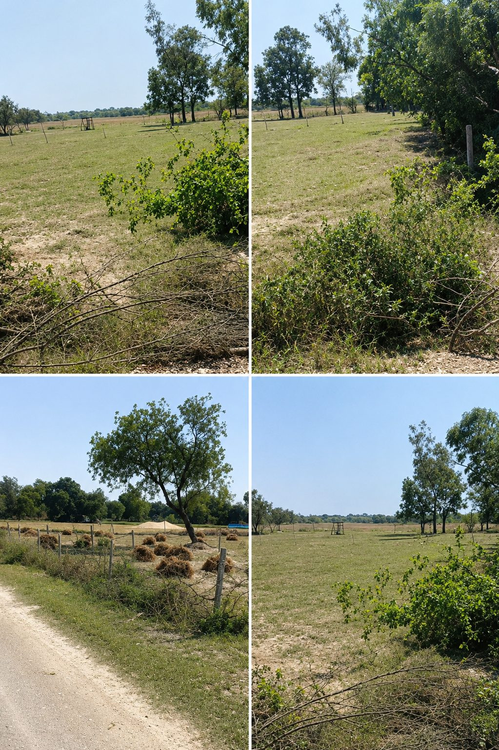 Industrial plot for sale in Sandila