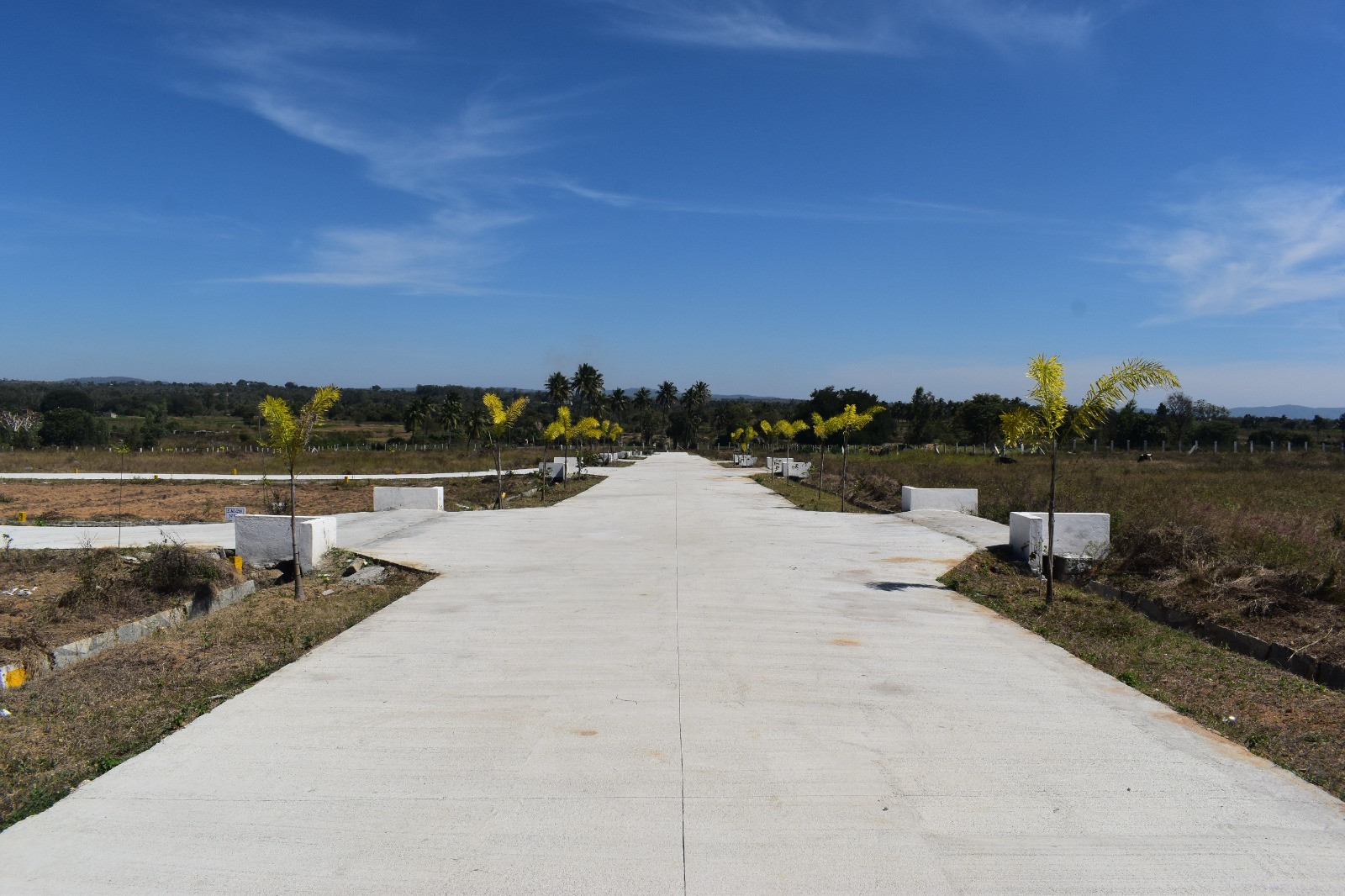 Residential plot in Bangarapet — photo 2