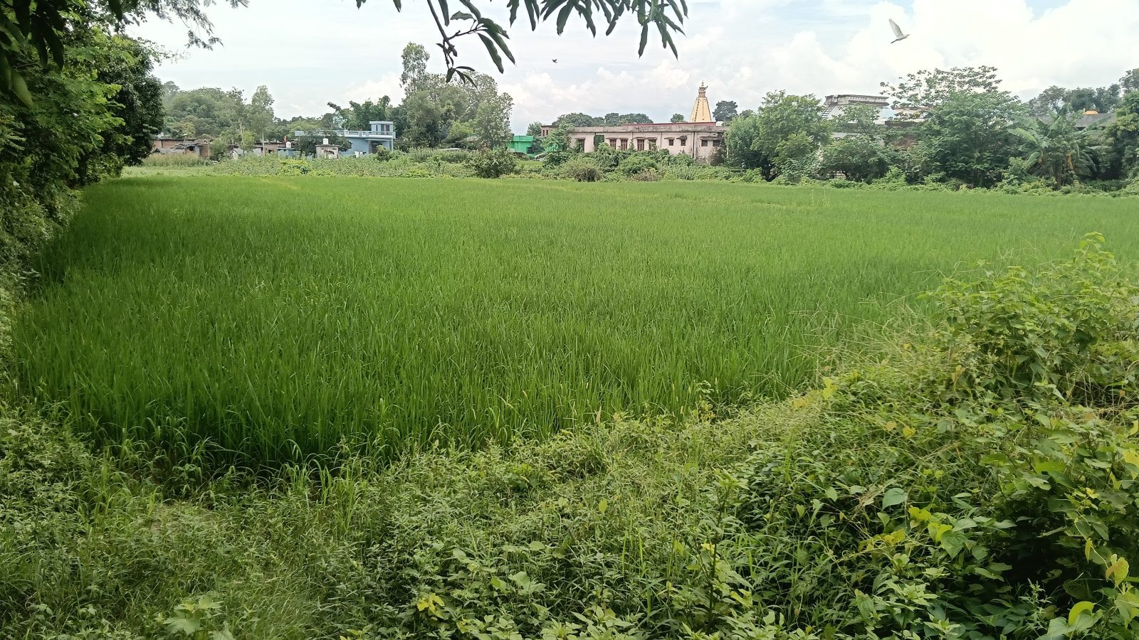 Mixed-use plot in Dehradun — hero photo
