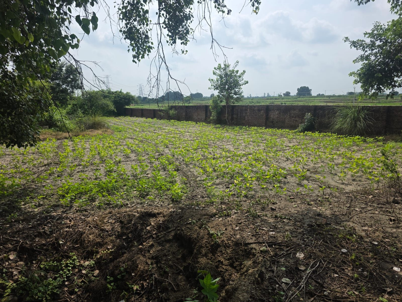 Mixed-use plot for sale in Kanpur Nagar, Kanpur Division