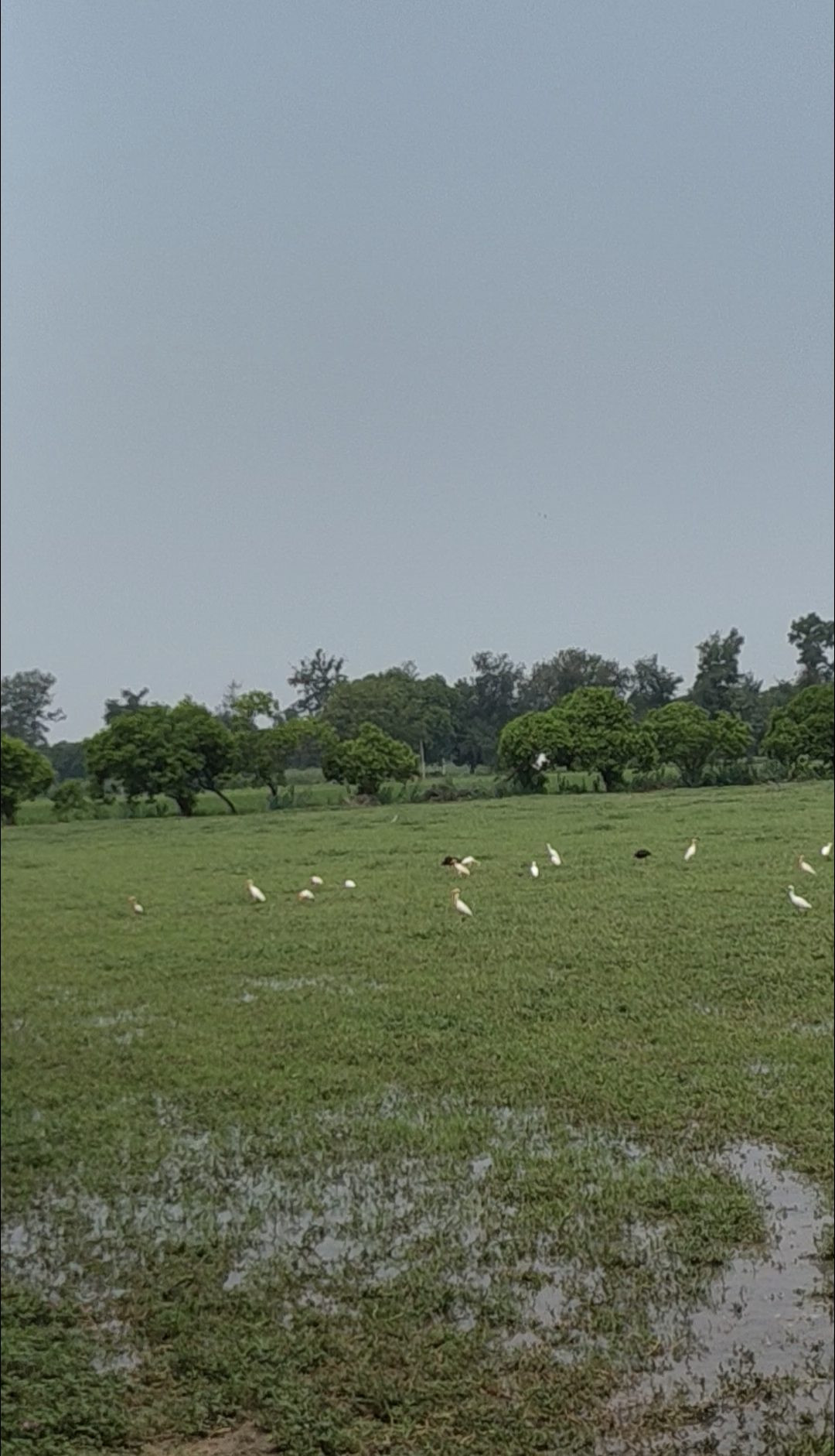 Mixed-use plot in gurugram — hero photo