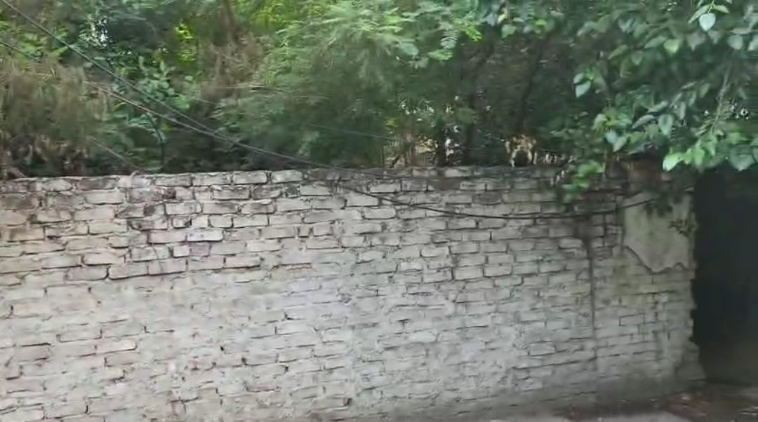 Commercial plot for sale in Kaiser Bagh, Lucknow
