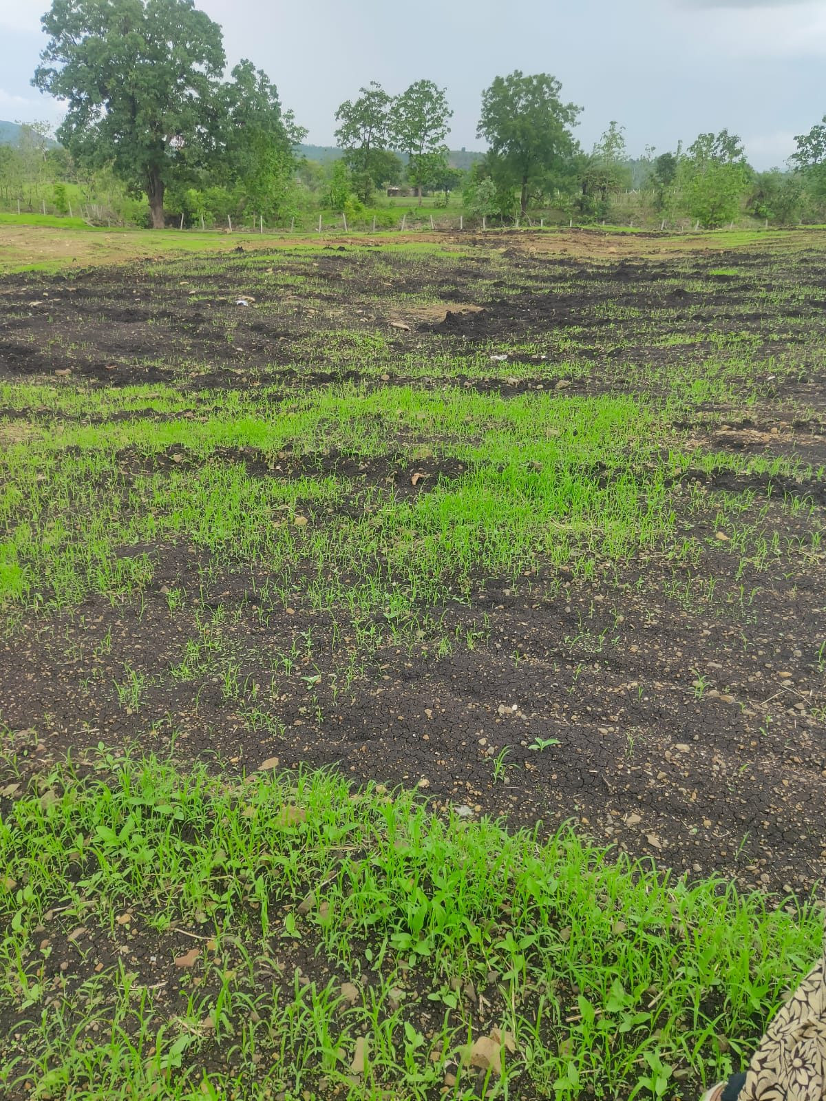 Farm land in Simrol — hero photo