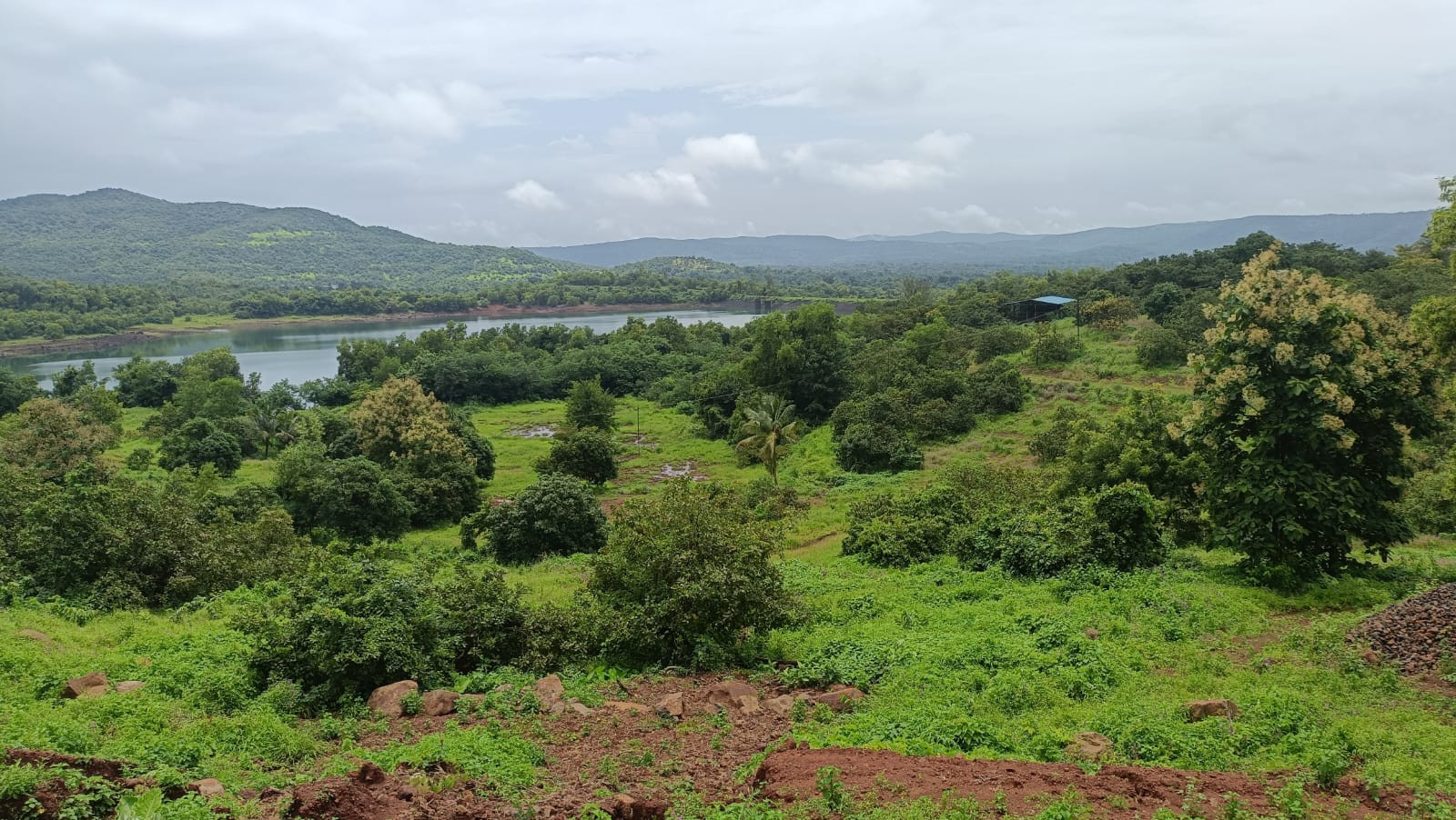 Residential plot in Dapoli — photo 2