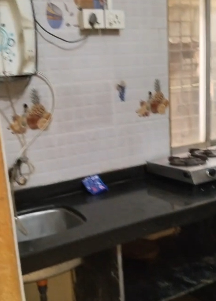 1 BHK Apartment in Juhu, Mumbai — photo 2