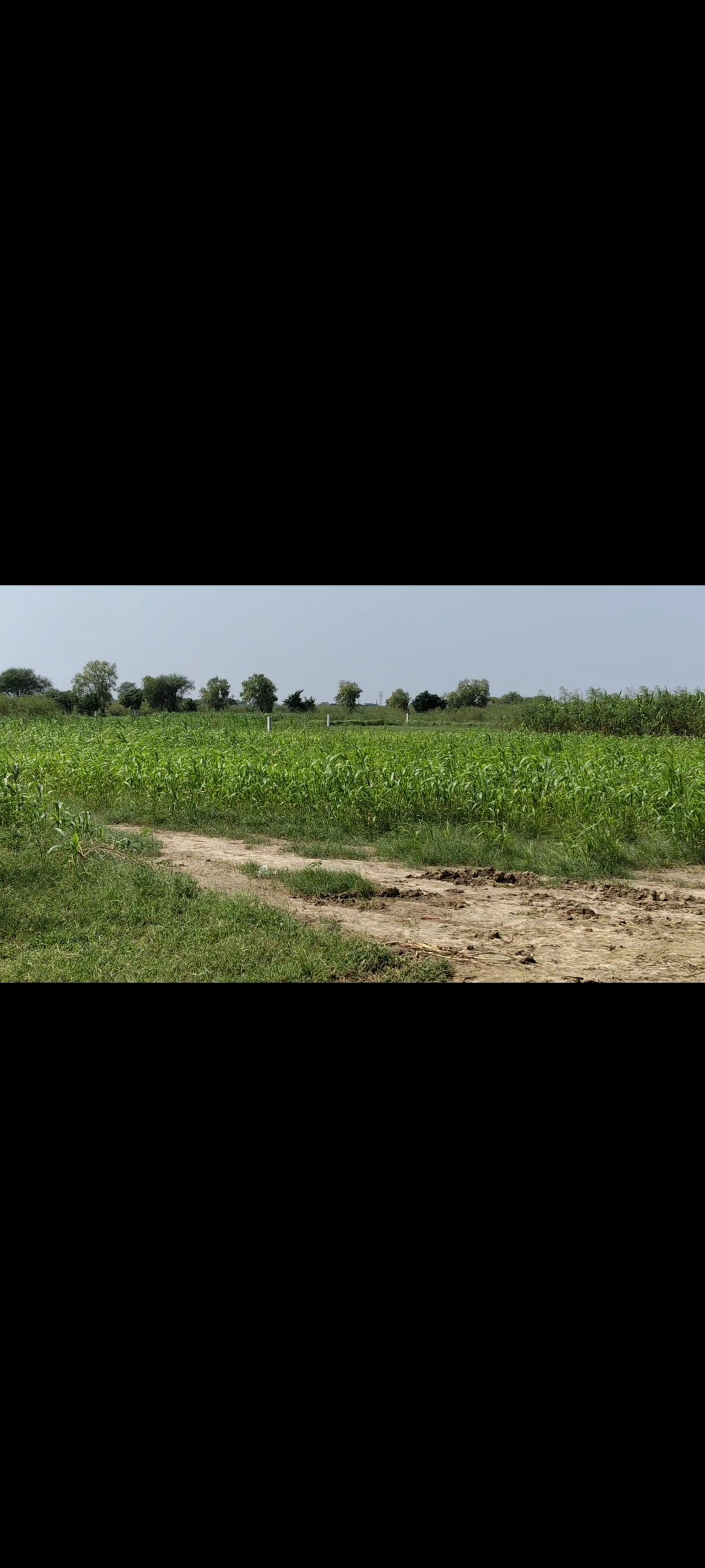 Residential plot in Hodal — hero photo