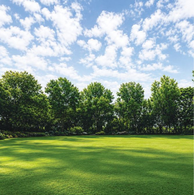 Residential plot in Nalsarovar — photo 11