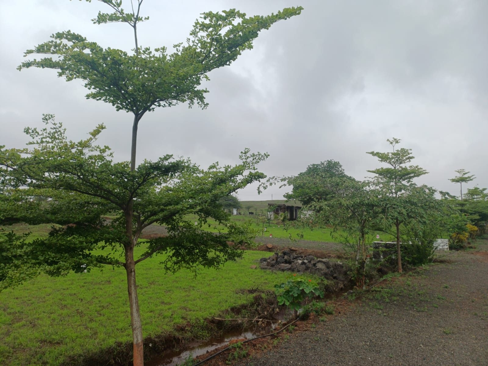 Residential plot for sale in Nashik