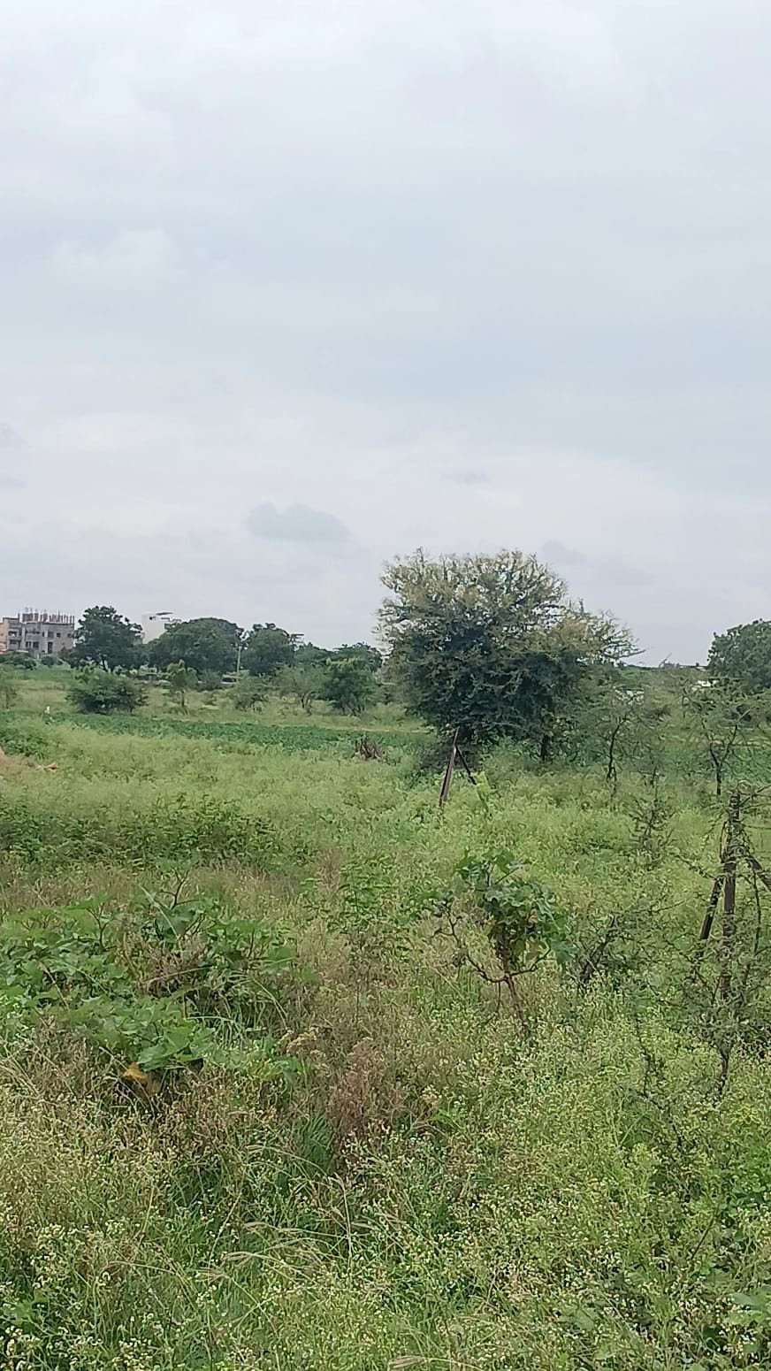 Residential plot in Latur — hero photo