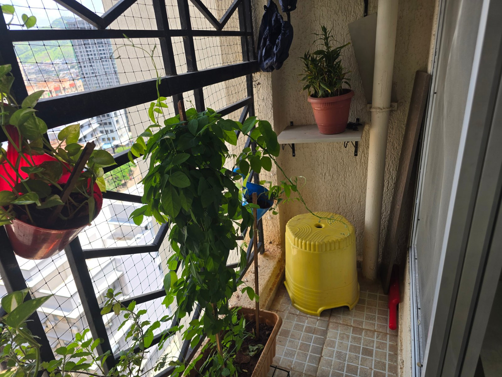 1 BHK Apartment in Virar West, Palghar — photo 3
