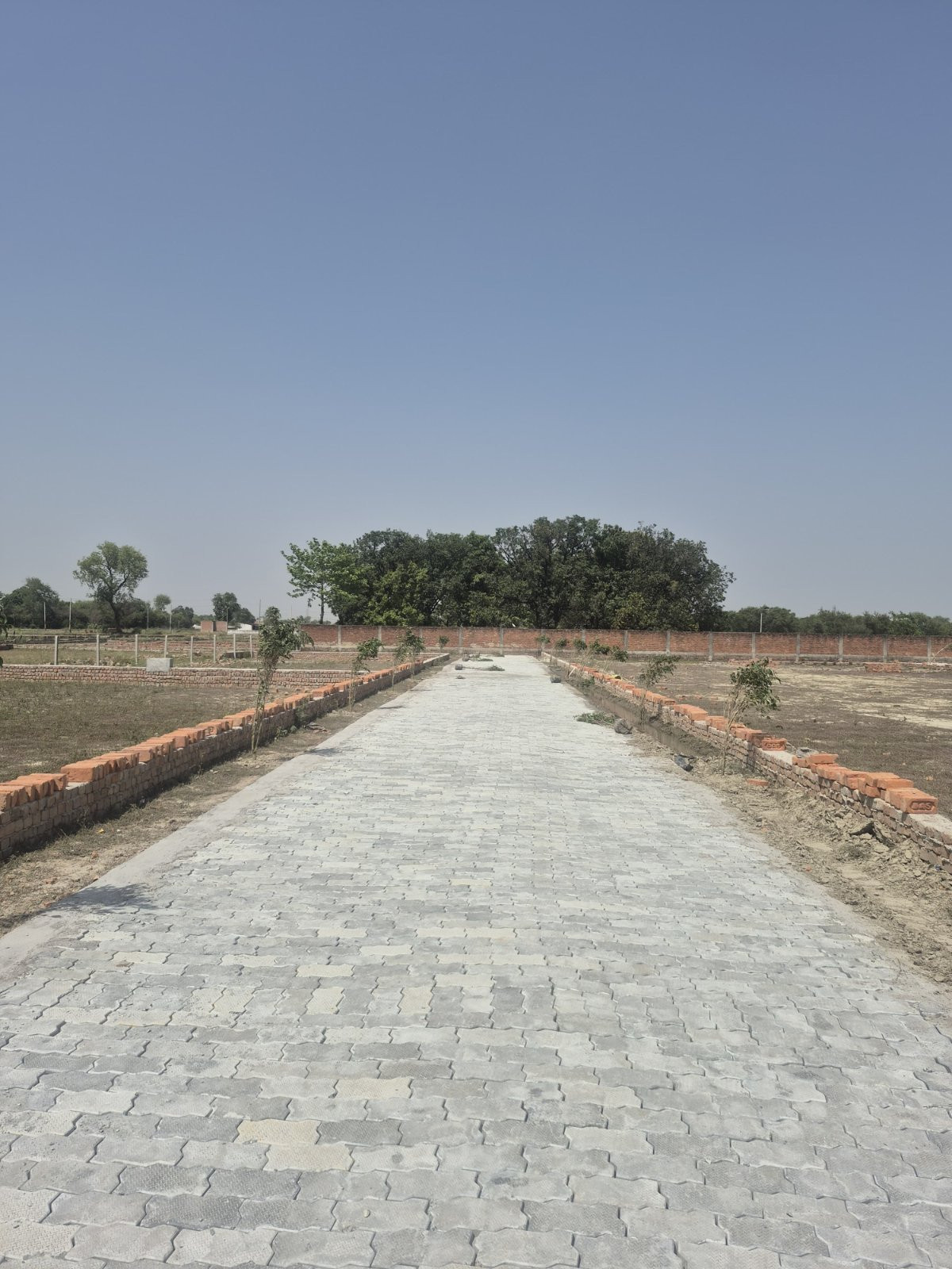 Residential plot in Tindola — photo 4