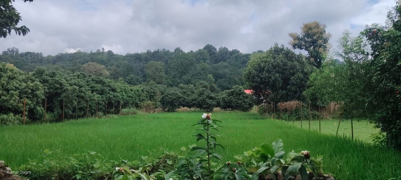 Mixed-use plot in Ramnagar — hero photo