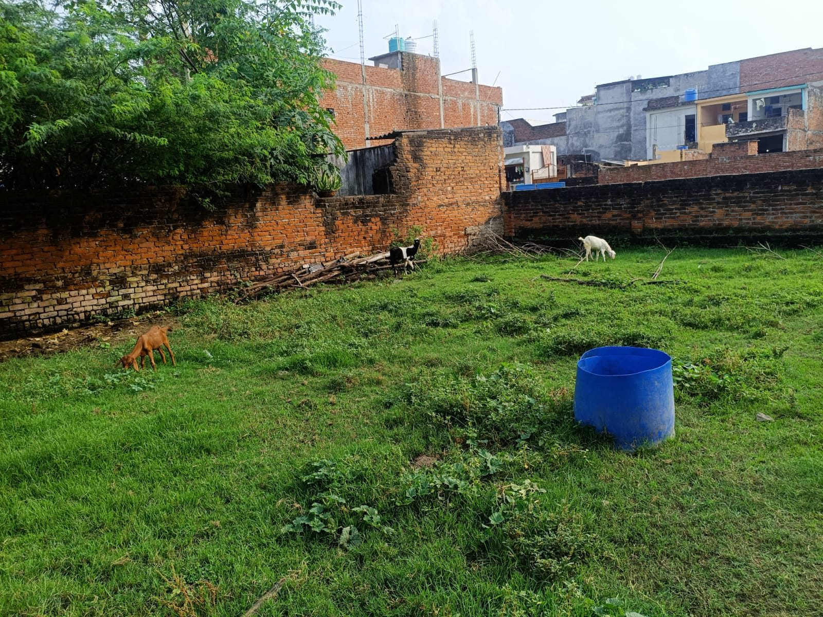 Residential plot in Bakshi Ka Talab, Lucknow — hero photo