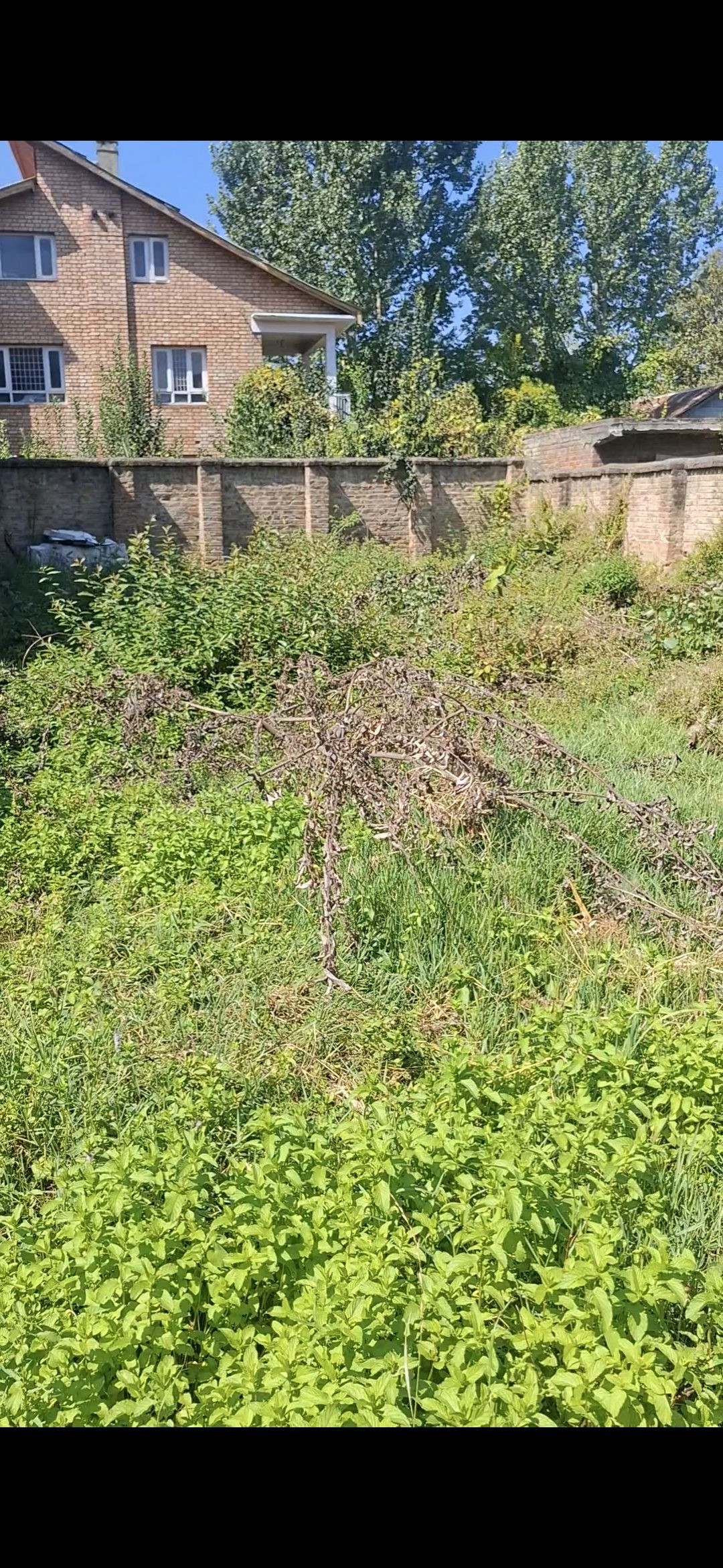 Mixed-use plot in Anantnag — hero photo