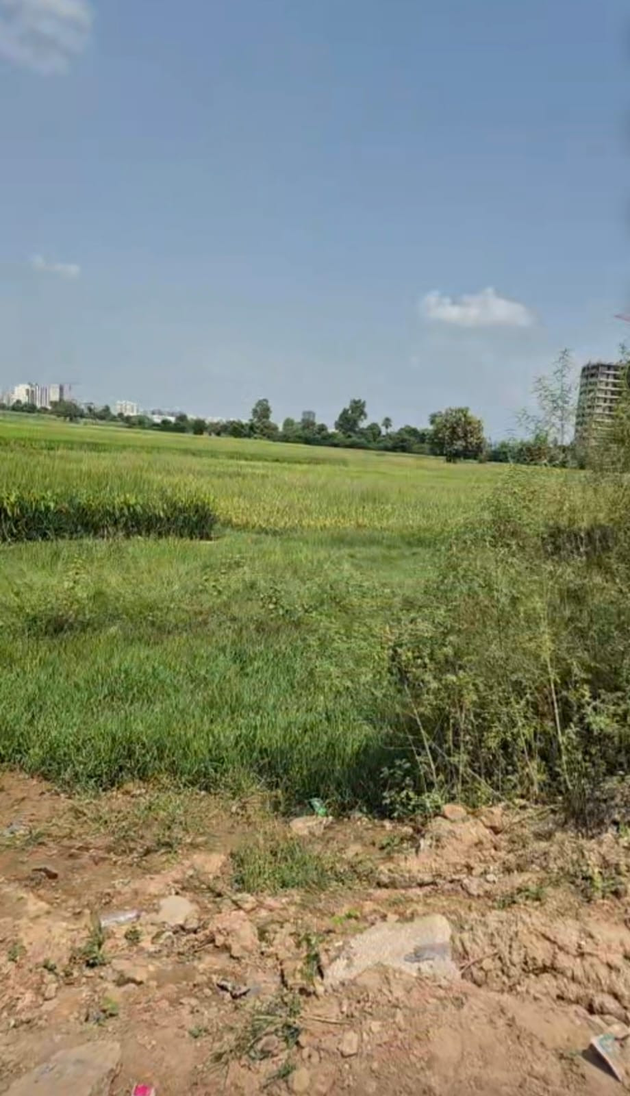 Mixed-use plot in Gmada Aerocity, Mohali — photo 2