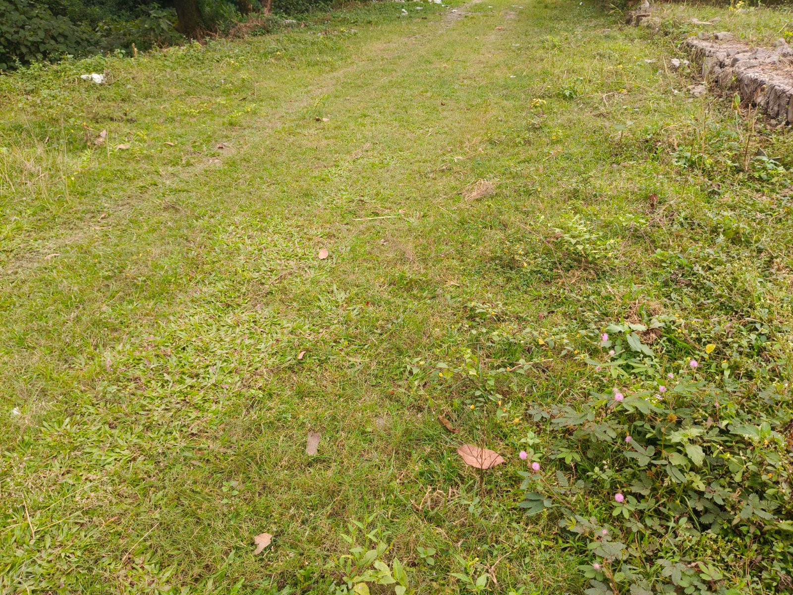 Mixed-use plot in Sahastradhara Road, Dehradun — photo 2