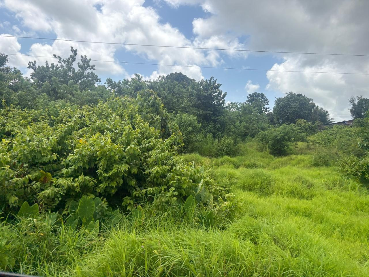 Residential plot in Old Goa, Goa — hero photo