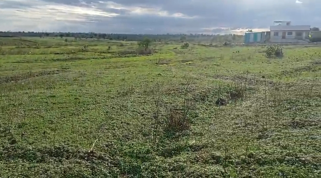 Farm land in Hingoli — photo 5