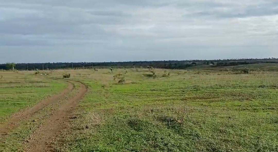 Farm land in Hingoli — photo 2