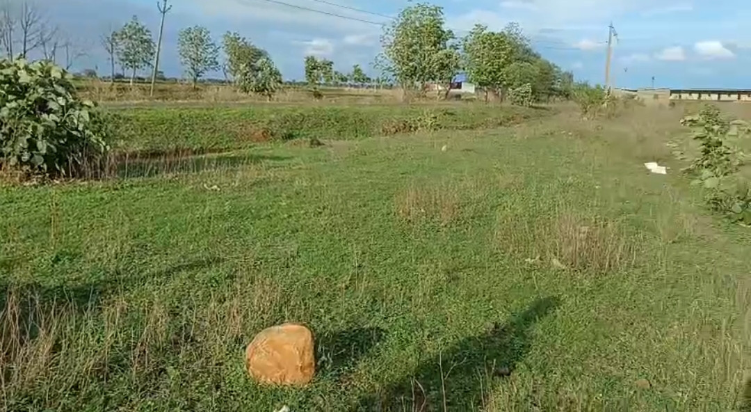 Farm land in Hingoli — photo 4