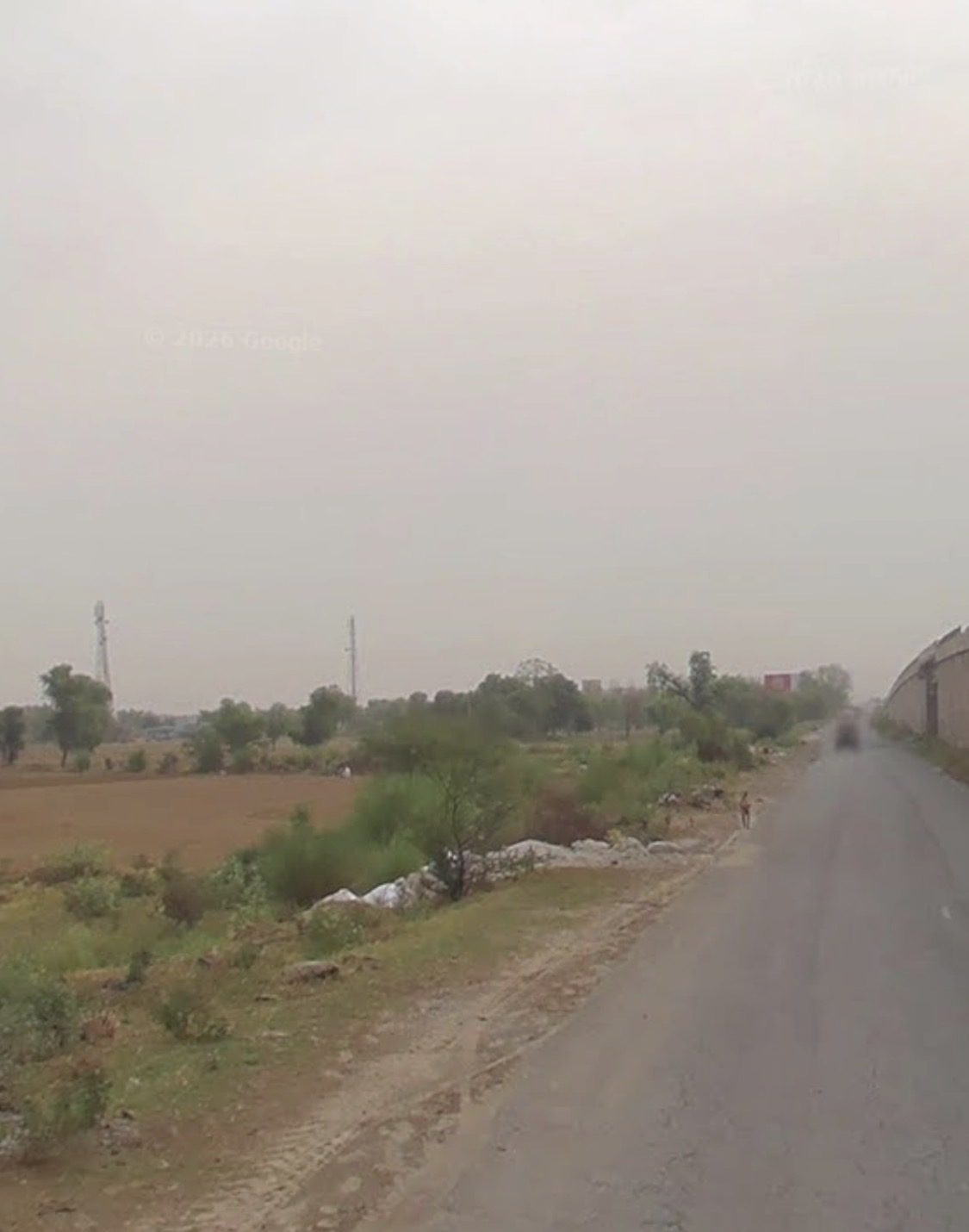 Working farm in Haryana, Mathura — hero photo