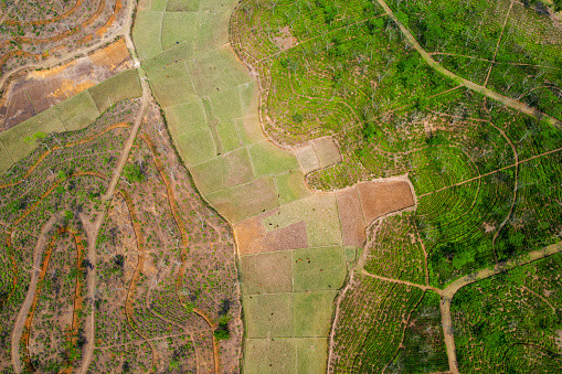 This farm land is at very good location
