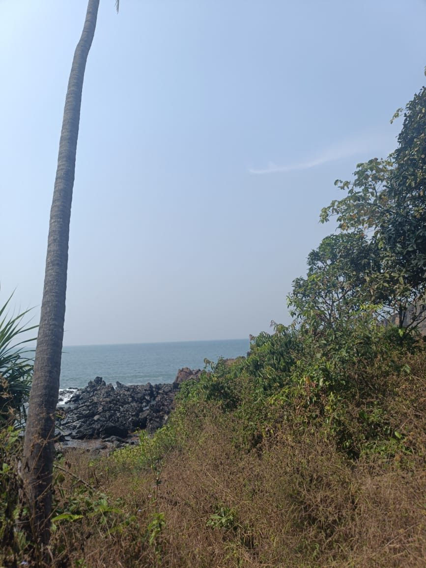 Residential plot in South Goa, Goa — hero photo