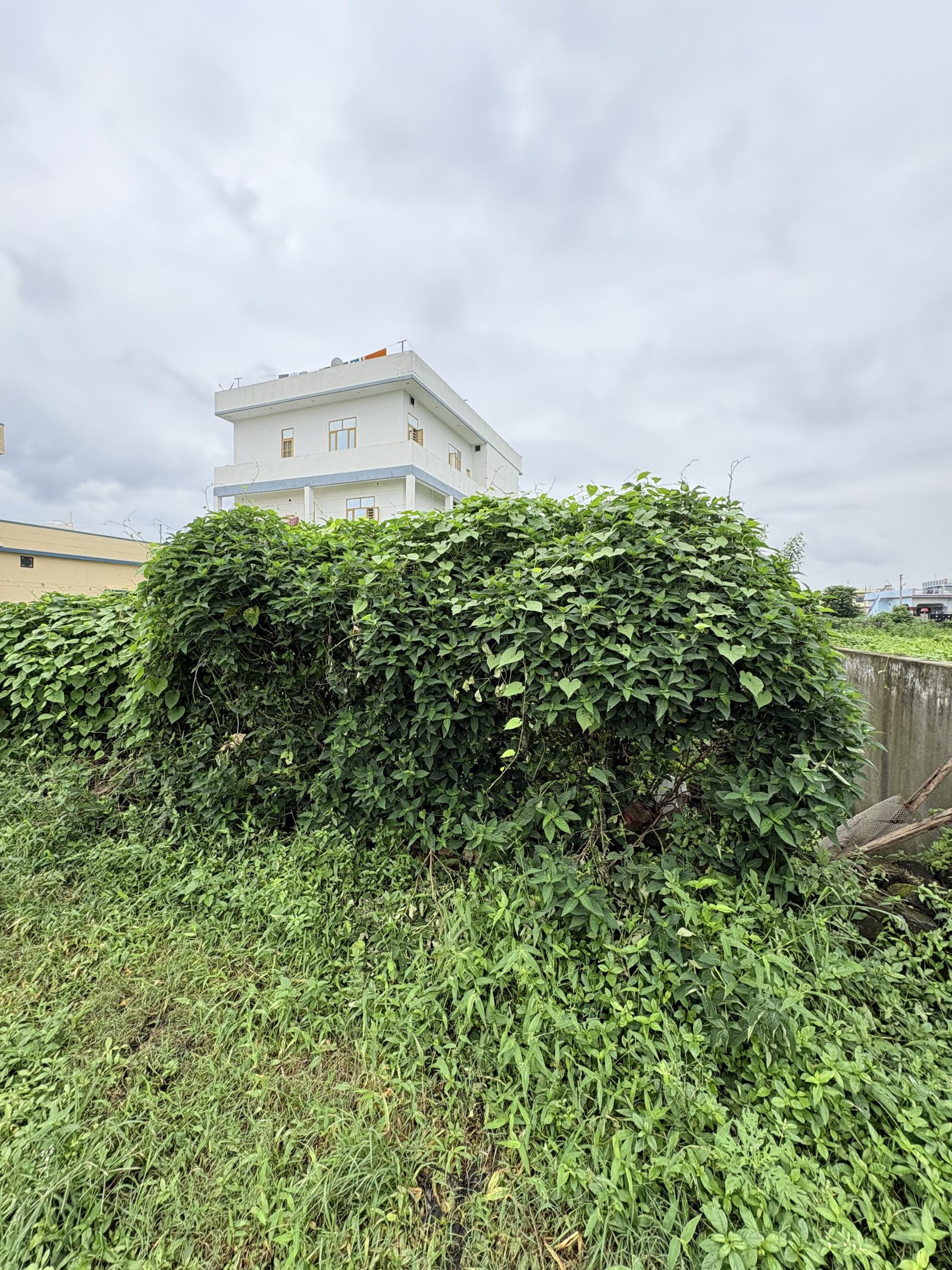 Mixed-use plot for sale in Balawala, Dehradun