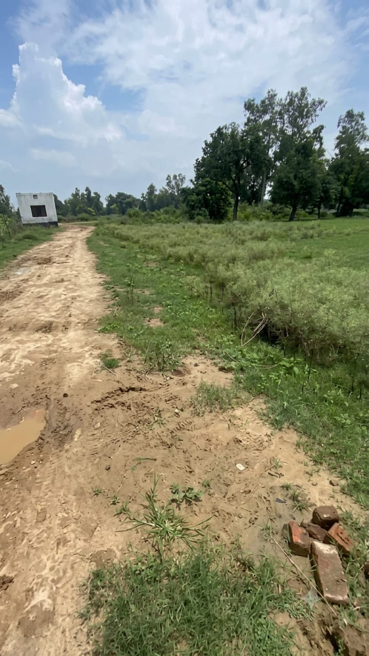 Residential plot in Barabanki — photo 6