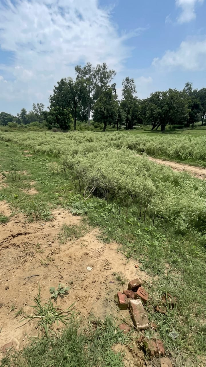 Residential plot in Barabanki — photo 2