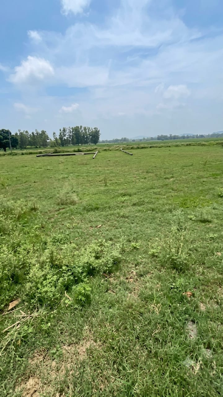 Residential plot in Barabanki — photo 4