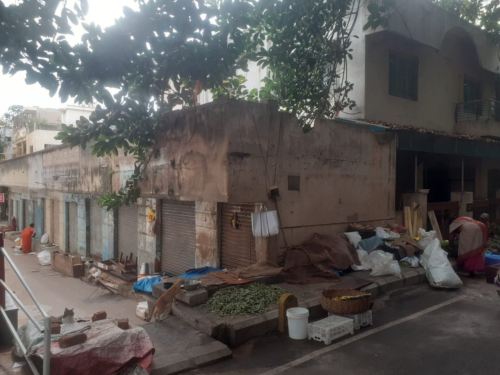 Residential plot in Malleshwaram, Bengaluru — hero photo