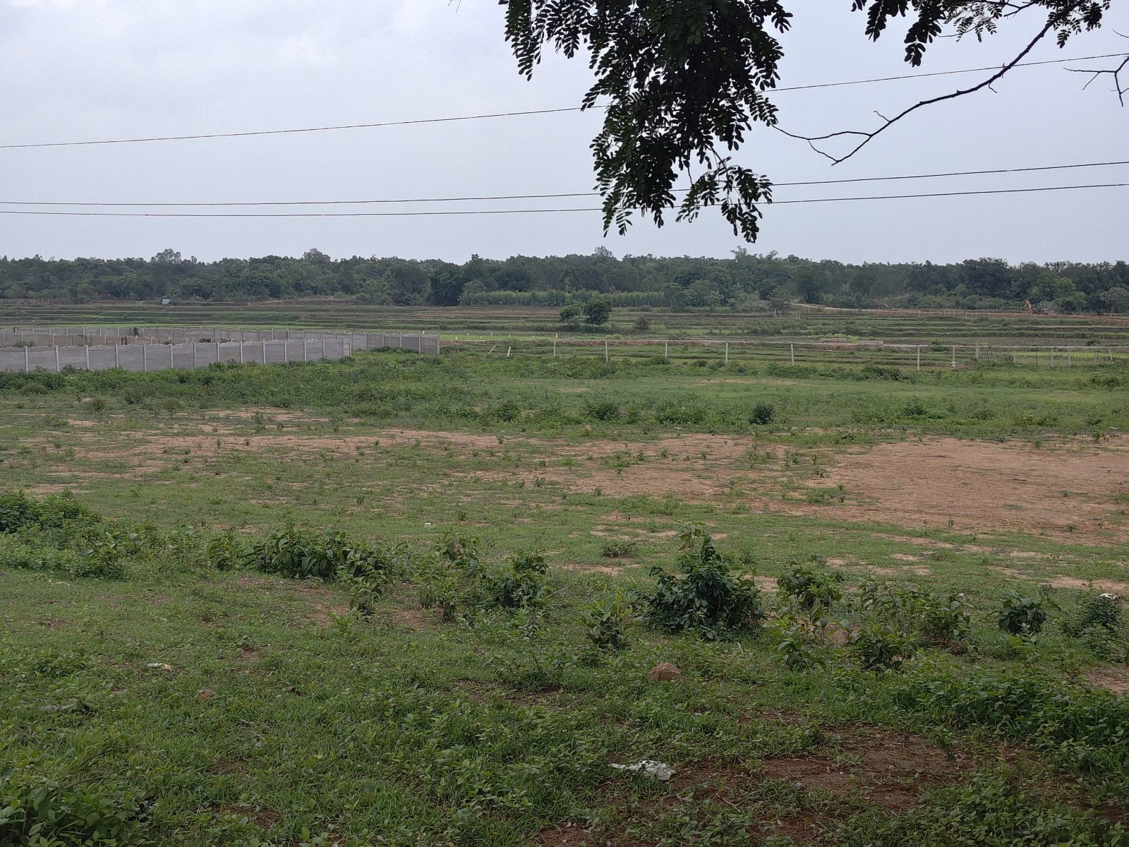 Farm land in Bhubaneswar — hero photo