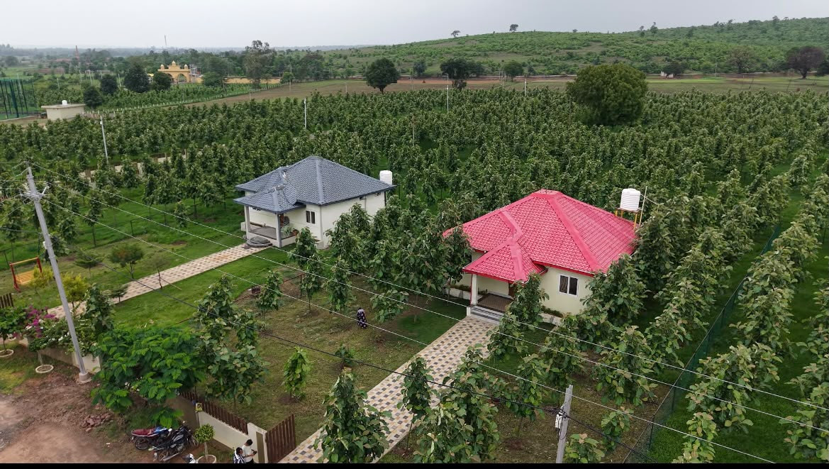 Aerial View of Cottages and Teakwood Tree