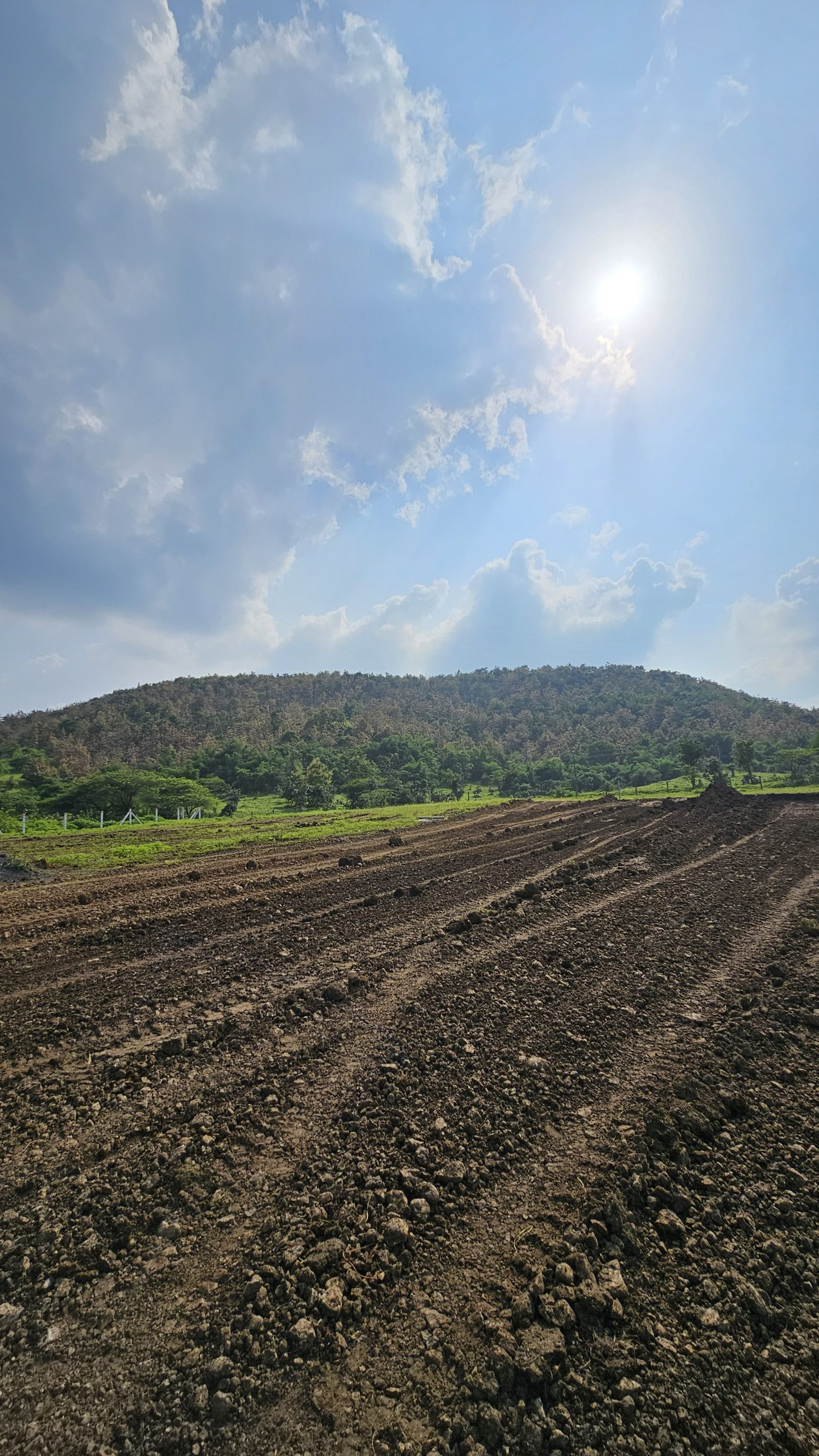 Farmhouse in Gawli Palasia — hero photo
