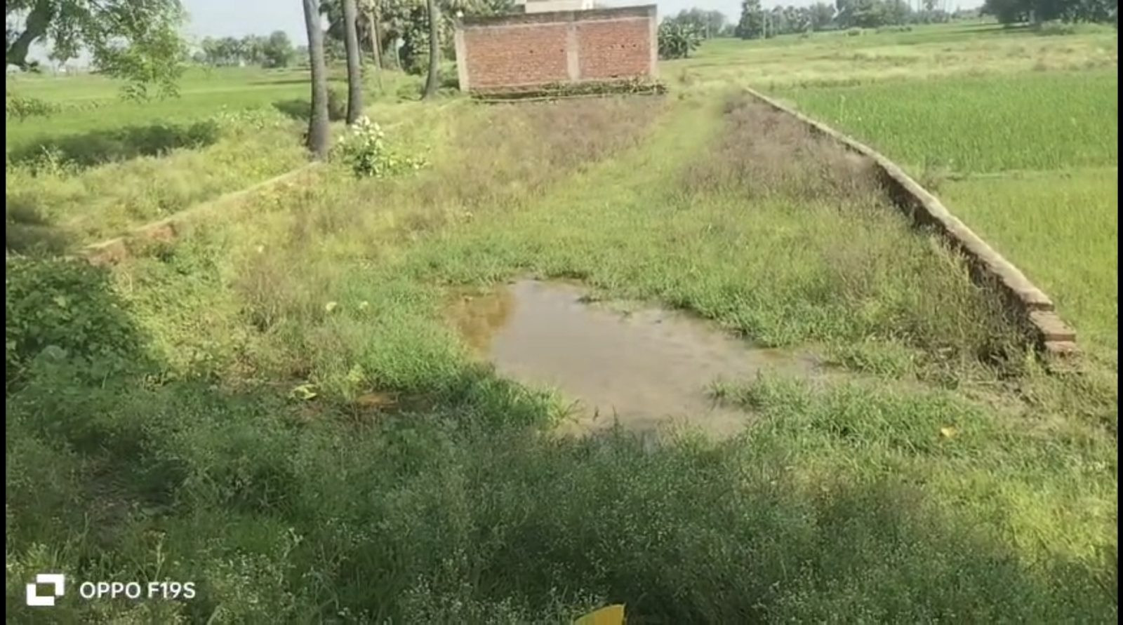 Mixed-use plot in Bihar — hero photo