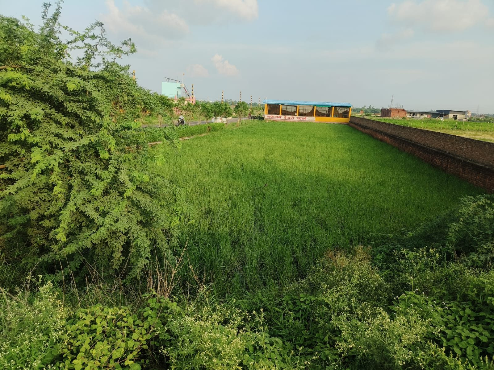 Mixed-use plot for sale in Lucknow, Lucknow Division