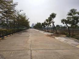 Farm land for sale in Sikandarpur