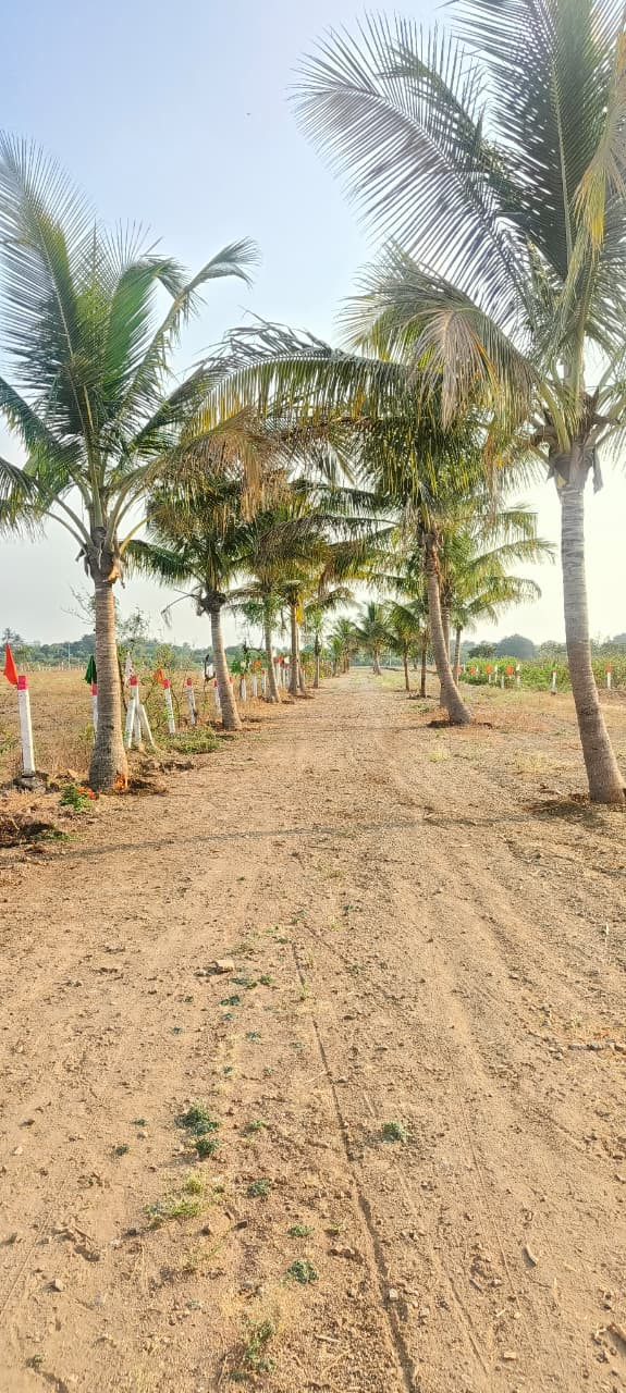 Farm land in Ranjangaon — hero photo