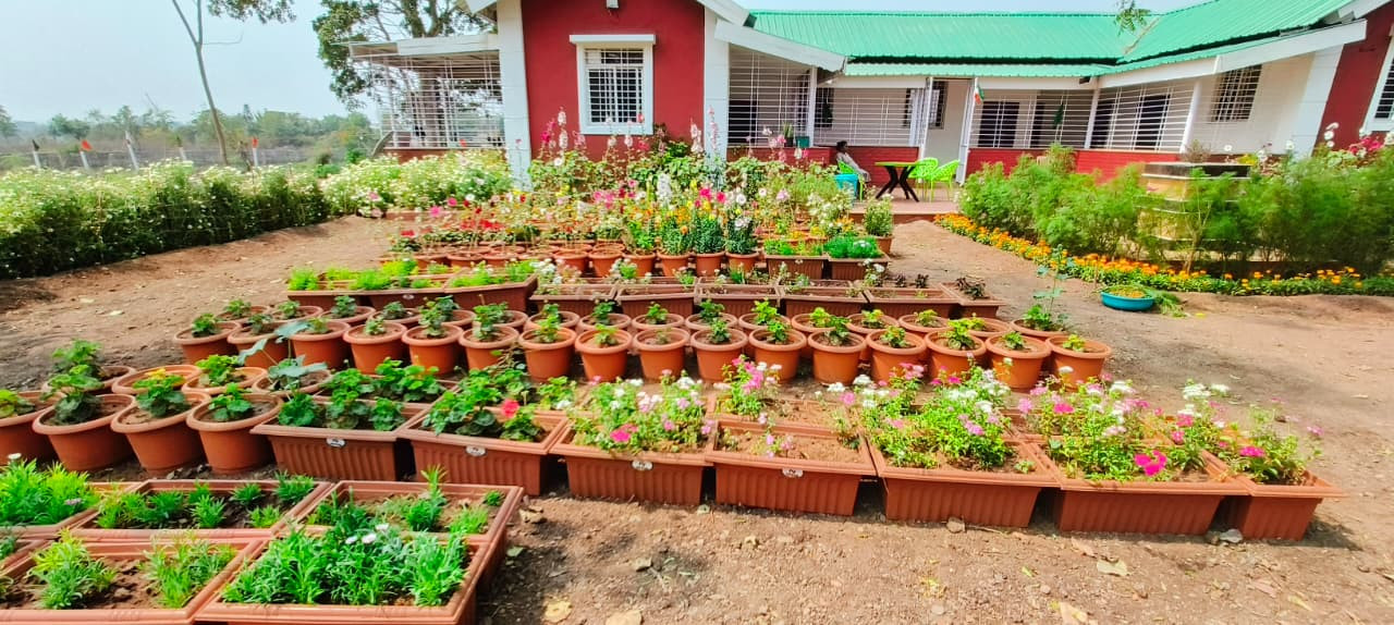 Farm land in Ranjangaon — photo 4