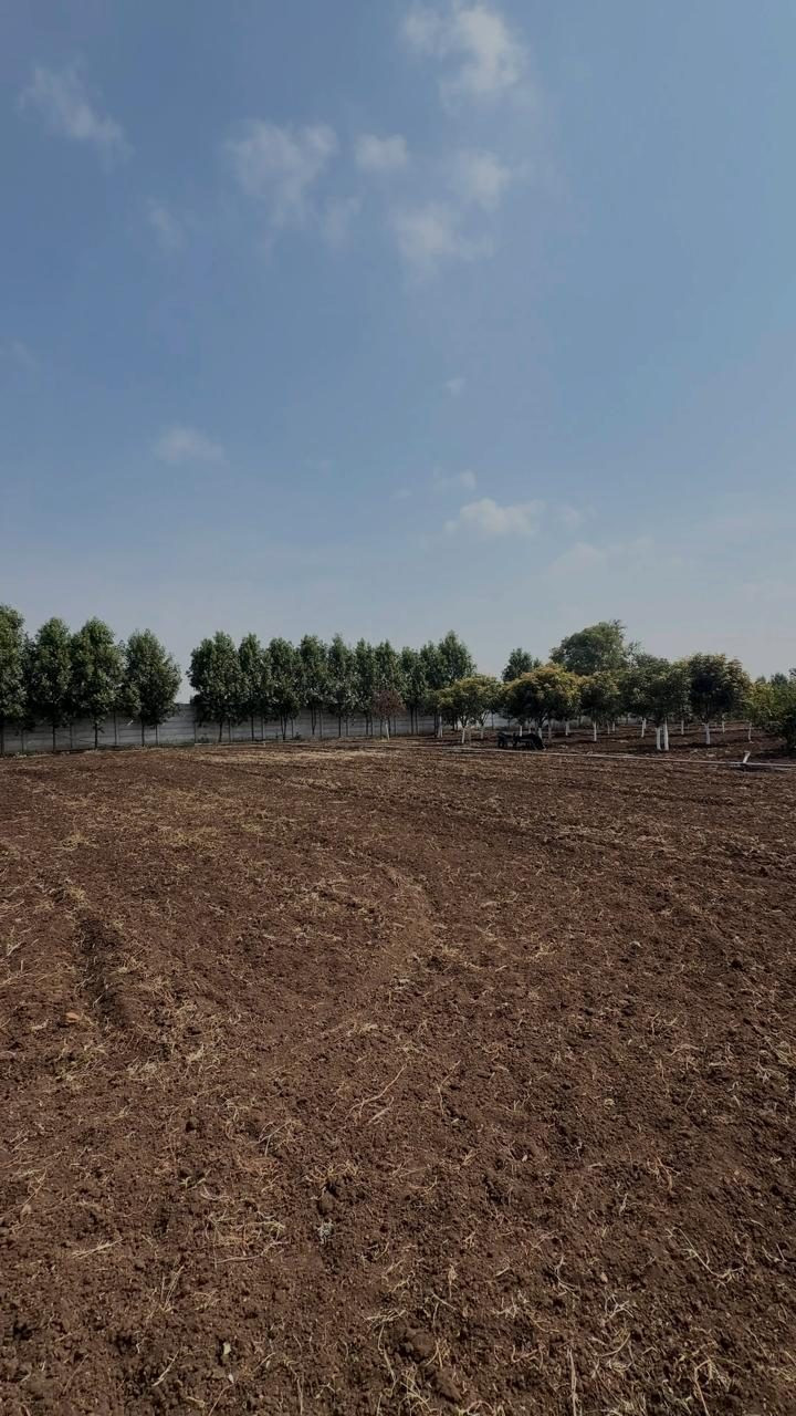 Farm land in Shankarpalle, Hyderabad — hero photo