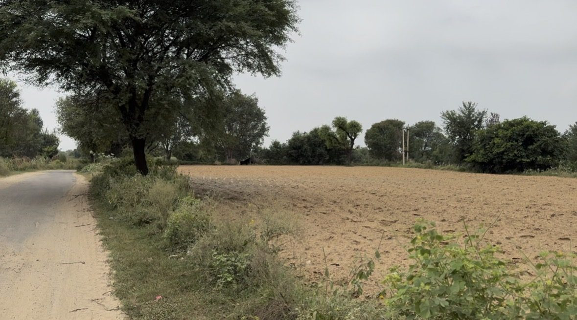 Farm land in Seetal — hero photo