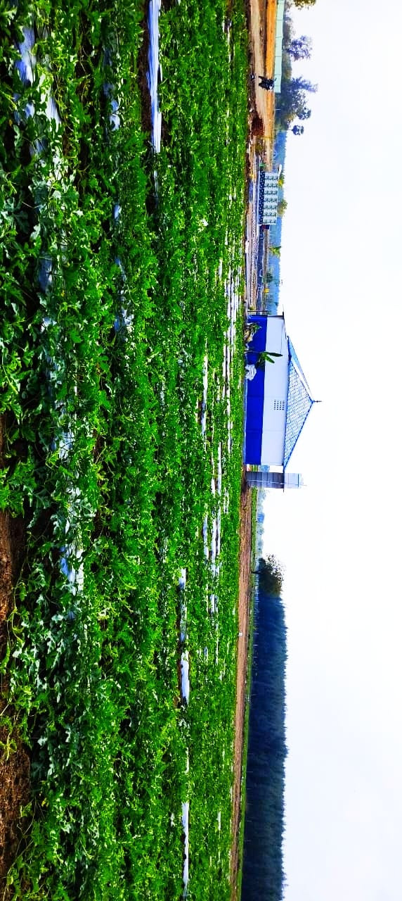 Farm land in Ongur — photo 5