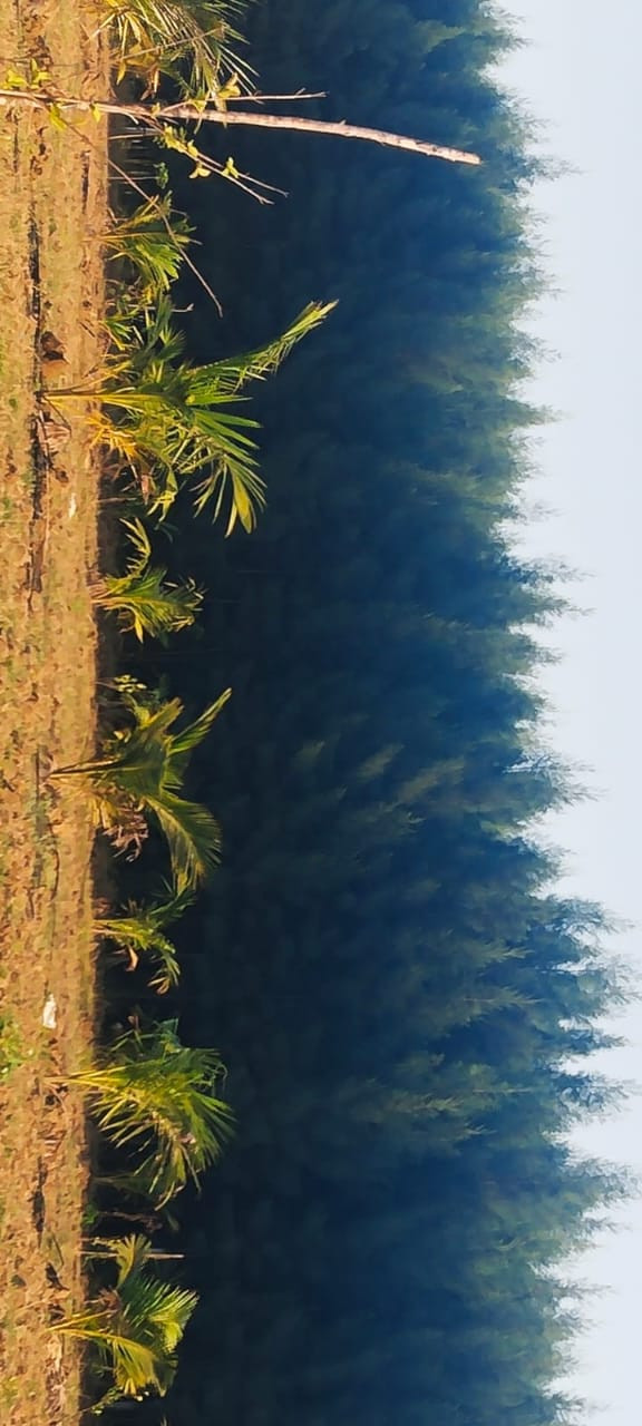 Farm land in Ongur — photo 10